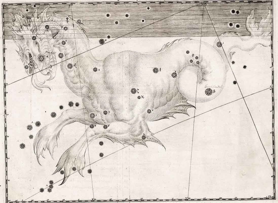 Cetus