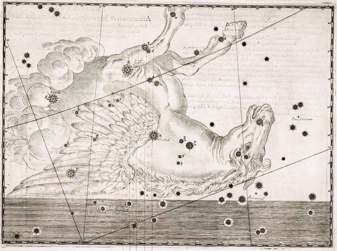 Pegaso